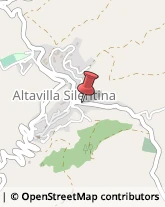 Aziende Agricole Altavilla Silentina,84045Salerno