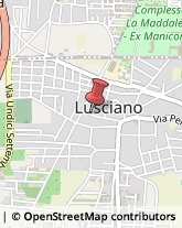Aziende Agricole Lusciano,81030Caserta