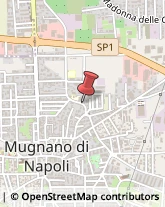 Agenzie di Animazione e Spettacolo Mugnano di Napoli,80018Napoli