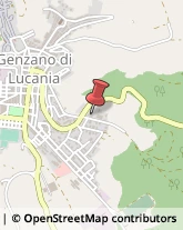 Protezione Civile - Servizi Genzano di Lucania,85013Potenza