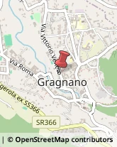 Pollame, Conigli e Selvaggina - Dettaglio Gragnano,80054Napoli