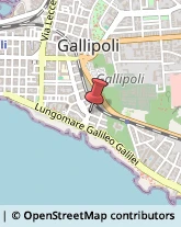 Cancelleria Gallipoli,73014Lecce