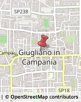 Alimenti Surgelati - Dettaglio Giugliano in Campania,80014Napoli