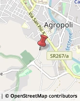 Autotrasporti Agropoli,84043Salerno