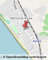 Caccia e Pesca Articoli - Dettaglio Ascea,84046Salerno