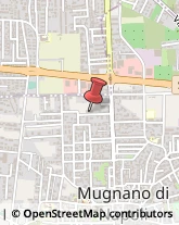 Avvocati Mugnano di Napoli,80018Napoli