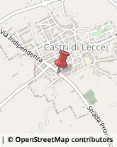 Articoli per Ortopedia Castri di Lecce,73020Lecce