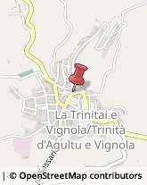 Vini e Spumanti - Produzione e Ingrosso Trinità d'Agultu e Vignola,07038Olbia-Tempio