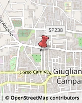 Agrumi Giugliano in Campania,80014Napoli