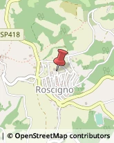 Poste Roscigno,84020Salerno