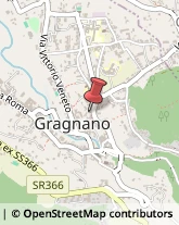 Fiorai - Forniture ed Accessori Gragnano,80054Napoli