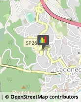 Aziende Sanitarie Locali (ASL) Lagonegro,85042Potenza