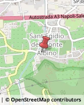 Ortofrutticoltura Sant'Egidio del Monte Albino,84010Salerno