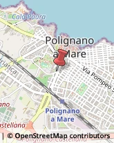 Piante e Fiori - Ingrosso Polignano a Mare,70044Bari