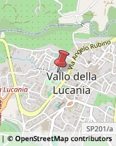 Scuole Pubbliche Vallo della Lucania,84078Salerno