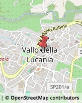 Registratori Di Cassa Vallo della Lucania,84078Salerno