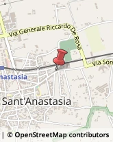 Piante e Fiori Artificiali - Ingrosso Sant'Anastasia,80048Napoli