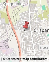 Pollame, Conigli e Selvaggina - Ingrosso Crispano,80020Napoli