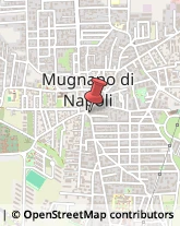 Insetticidi e Anticrittogamici Mugnano di Napoli,80018Napoli