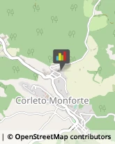 Autofficine e Centri Assistenza Corleto Monforte,84020Salerno