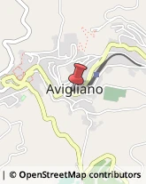 Aziende Agricole Avigliano,85021Potenza