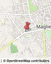 Allergologia - Medici Specialisti Maglie,73024Lecce