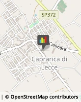 ,73010Lecce