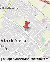 Alimenti Surgelati - Dettaglio Orta di Atella,81030Caserta