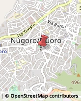 Articoli per Ortopedia Nuoro,08100Nuoro