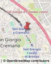 Piante e Fiori Artificiali - Ingrosso San Giorgio a Cremano,80046Napoli