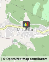 Grassi Uso Alimentare Moschiano,83020Avellino