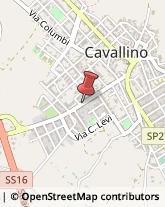 Aziende Agricole Cavallino,73020Lecce