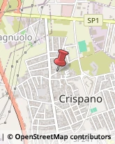 Pollame, Conigli e Selvaggina - Ingrosso Crispano,80020Napoli