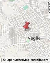 Agenzie ed Uffici Commerciali Veglie,73045Lecce