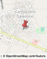 Agenti e Rappresentanti di Commercio Carpignano Salentino,73020Lecce