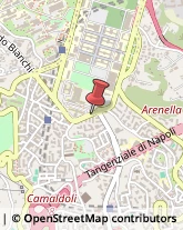 Articoli per Ortopedia Napoli,80131Napoli