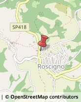 Aziende Agricole Roscigno,84020Salerno