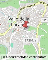 Avvocati Vallo della Lucania,84078Salerno