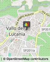 Imprese Edili Vallo della Lucania,84078Salerno