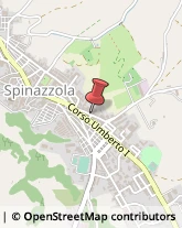 Consulenza Agricoltura e Foresta Spinazzola,70058Barletta-Andria-Trani