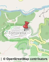 Serramenti ed Infissi in Legno Tortorella,84030Salerno