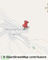 Ristoranti Monteforte Cilento,84060Salerno