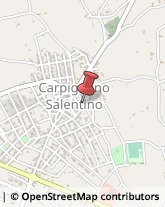 Autotrasporti Carpignano Salentino,73020Lecce