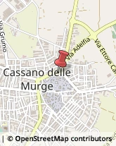 Segherie Cassano delle Murge,70020Bari