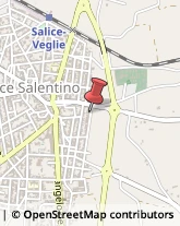 Palestre e Centri Fitness Salice Salentino,73015Lecce