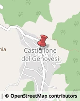 Pizzerie Castiglione del Genovesi,84090Salerno