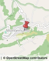 Aziende Sanitarie Locali (ASL) Montemurro,85053Potenza