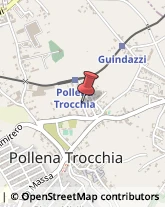 Sartorie Pollena Trocchia,80040Napoli