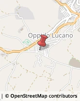 Integratori Alimentari Oppido Lucano,85015Potenza