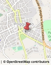 Licei - Scuole Private Poggiardo,73037Lecce